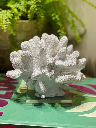 Coral com Base - Resina - Branco