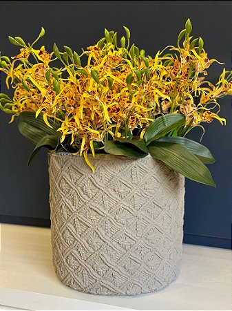 Cachepot em Cimento - Cinza  - Relevo -  34,5CM