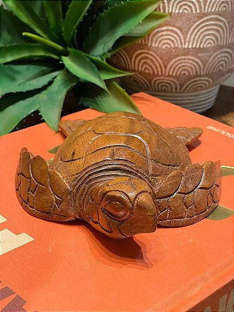Tartaruga Esculpida - Madeira