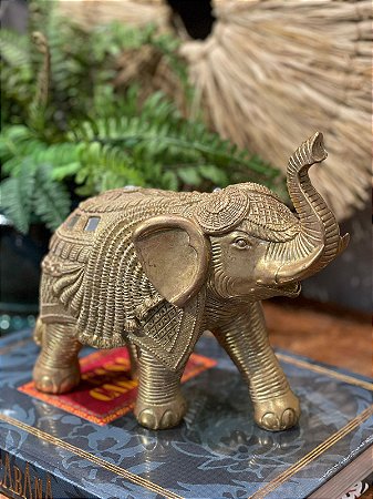 Elefante - Resina - Dourado - M