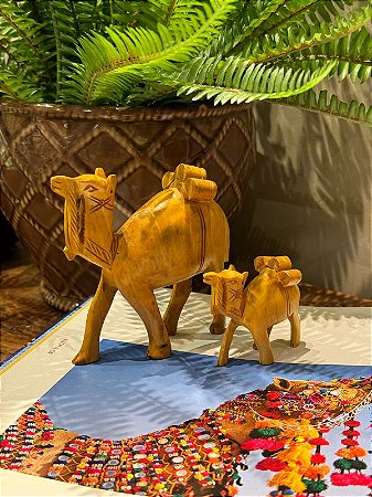 Dupla Camelos - Madeira