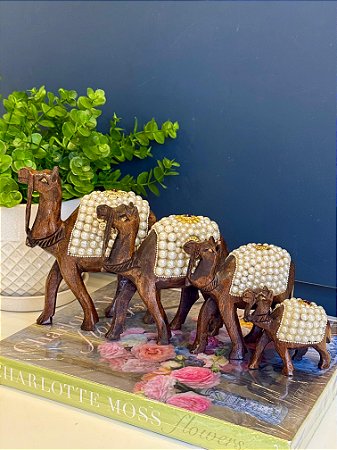 Familia Camelo Decorativo - Madeira - Com Aplique