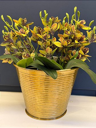 Cachepot em Alumínio - Dourado - 27CM