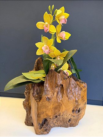 Escultura Tronco - Cachepot - Decorativo