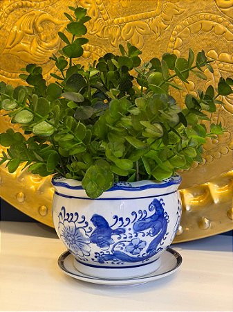 Cachepot em Cerâmica - Azul e Branco - 12CM