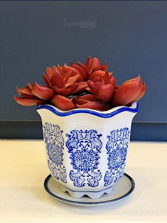 Cachepot em Cerâmica - Azul e Branco - 11CM