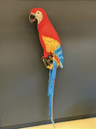 Escultura de Parede - Arara - Decorativa - Resina - Vermelho e Colorido - 69CM