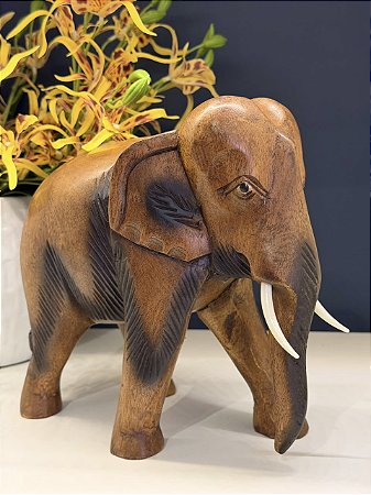 Elefante - Madeira Maciça - Marrom - 22CM