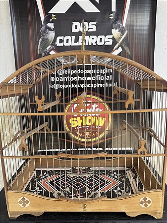 gaiola padrão torneio - 4