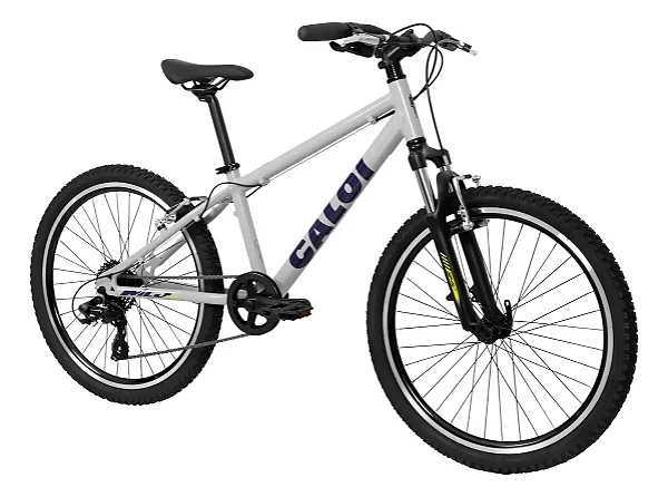 Bicicleta Caloi Wild Aro 24 8v Alumínio