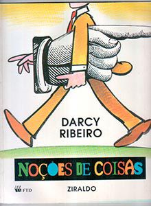 NOÇÕES DAS COISAS DE DARCY RIBEIRO E ZIRALDO