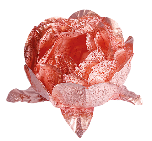 Forminha Bela 40 Un Rose Gold / Rose Gold