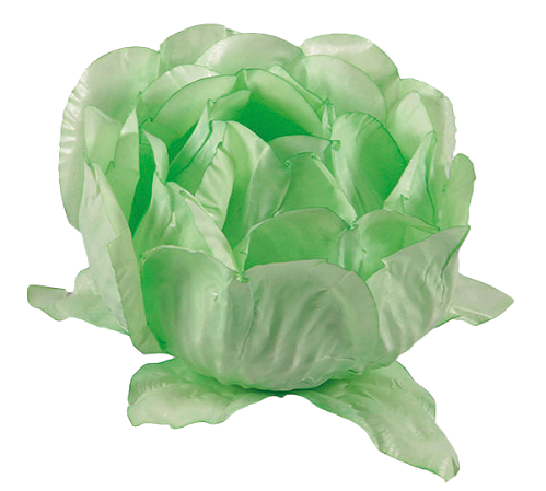 Forminha Bela 40 Un Menta / Menta