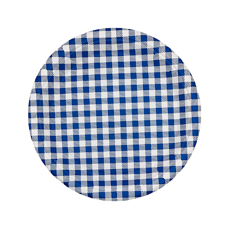Prato Papel Xadrez Azul Junina 10un