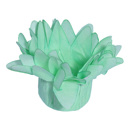 Forminha Madri 50 Un Menta