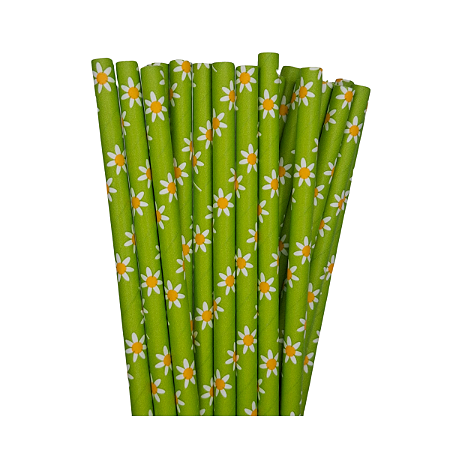 Canudo de Papel Margarida Verde 20UN