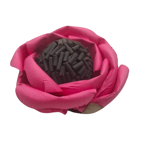 Forminha P/ Doces Aruba Pink 24Un
