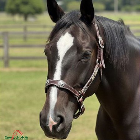 CABRESTO SOLA C/ DETALHE