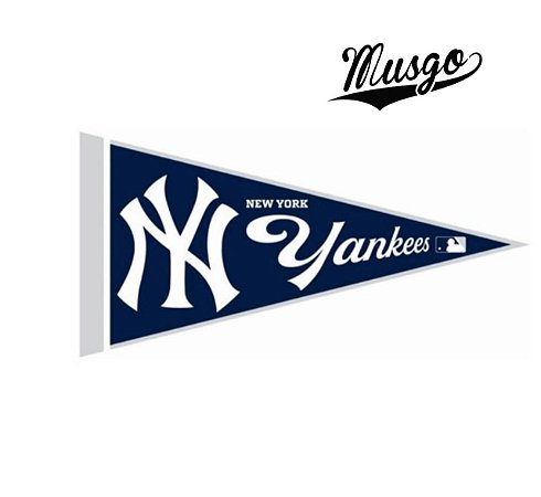 Placa Decorativa Flag Americana Esporte MLB Baseball New York Yankees