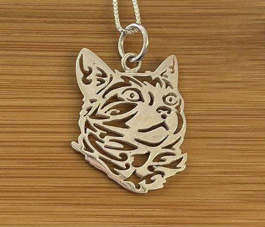Gato