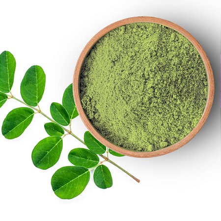 Moringa em Pó