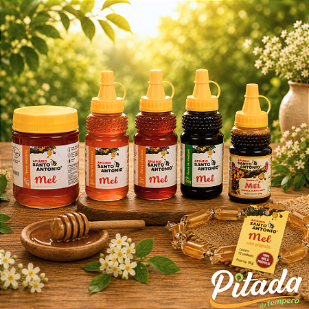 Mel Natural Puro Eucalipto, Silvestre, Flor de Laranjeira e Composto - Apiário Santo Antônio