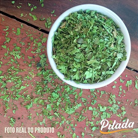 Coentro em Folhas