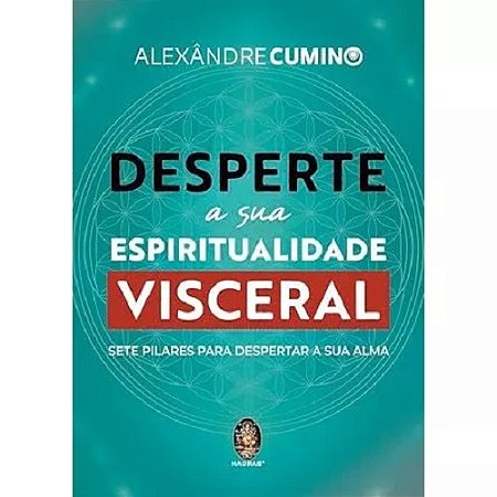Livro Desperte a sua Espiritualidade Visceral