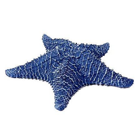 ENFEITE DECORATIVO ESTRELA DO MAR AZUL - G