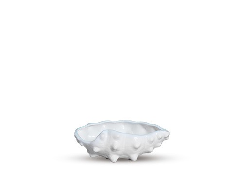 BOWL / PETISQUEIRA AL MARE