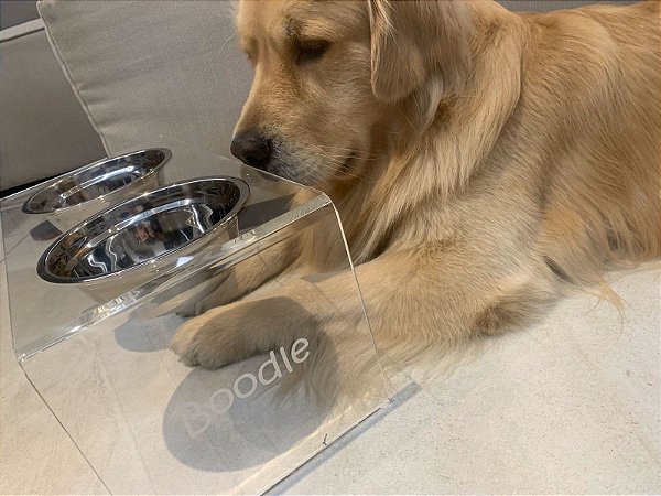 COMEDOURO PET DE ACRÍLICO  - XGG