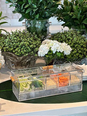 PORTA RESFRIADOR COM GELO CRUDITES / PETISQUEIRA / FRUTAS - ACRILICO COM 5 DIVISÕES