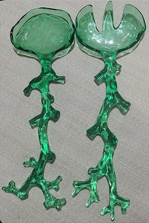 CONJUNTO / PEGADOR SALADA ACRÍLICO VERDE - CORAL