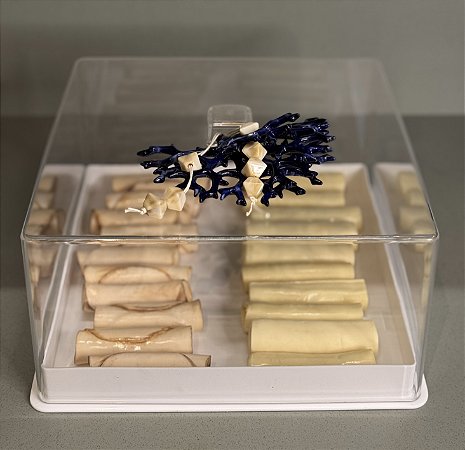 PORTA FRIOS E FRUTAS MARAGOGI COM TAMPA ACRILICO CORAL AZUL- QUADRADA