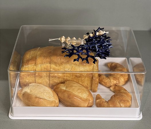 PORTA FRIOS E FRUTAS MARAGOGI  COM TAMPA ACRILICO CORAL AZUL - RETANGULAR