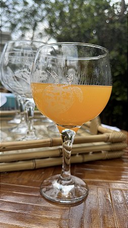 CJ 6 TAÇAS DE GIN TRANSPARENTE FUNDO DO MAR