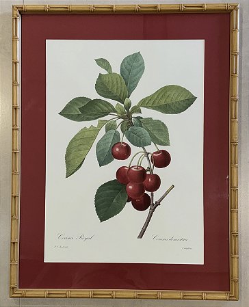 QUADRO GRAVURA CEREJA I