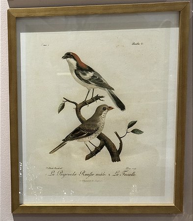 QUADRO GRAVURA 2 PÁSSAROS II