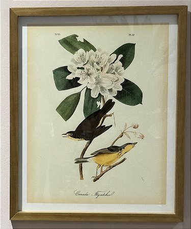 QUADRO GRAVURA 2 PÁSSAROS E FLORES