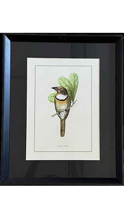 QUADRO GRAVURA PÁSSARO E FOLHA COM PASPATUR PRETO