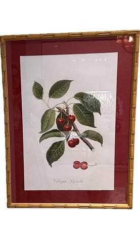 QUADRO GRAVURA CEREJA E FOLHAS - PASPATUR VERMELHO