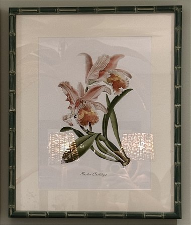 QUADRO GRAVURA ORQUÍDEA PINK COM MOLDURA EM BAMBU VERDE