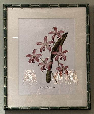 QUADRO GRAVURA ORQUÍDEAS ROSA COM MOLDURA EM BAMBU VERDE