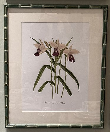QUADRO GRAVURA ORQUÍDEAS EM BAMBU COM MOLDURA EM BAMBU VERDE