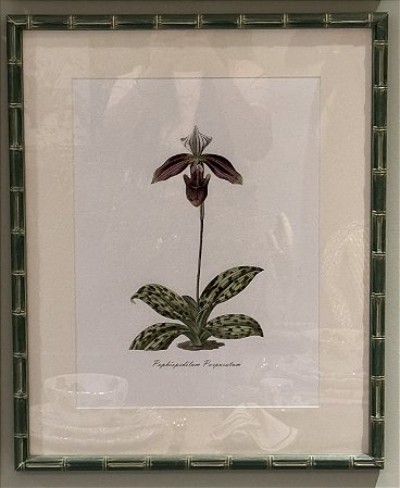 QUADRO GRAVURA ORQUÍDEA FOLHAS PINTADAS COM MOLDURA EM BAMBU VERDE