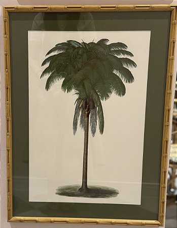 QUADRO GRAVURA PALM COM PASPATUR VERDE E MOLDURA BAMBU