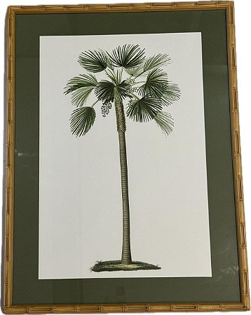 QUADRO GRAVURA PALM FAN II COM PASPATUR VERDE E MOLDURA BAMBU
