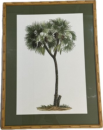 QUADRO GRAVURA PALM DAY COM PASPATUR VERDE E MOLDURA BAMBU