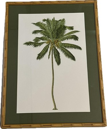 QUADRO GRAVURA PALM COCONUT COM PASPATUR VERDE E MOLDURA BAMBU