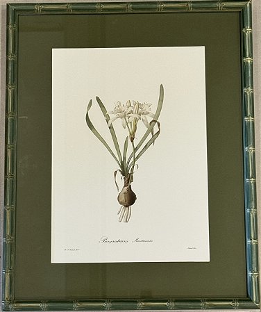 QUADRO GRAVURA FLORES COM PASPATUR VERDE E MOLDURA BAMBU VERDE
